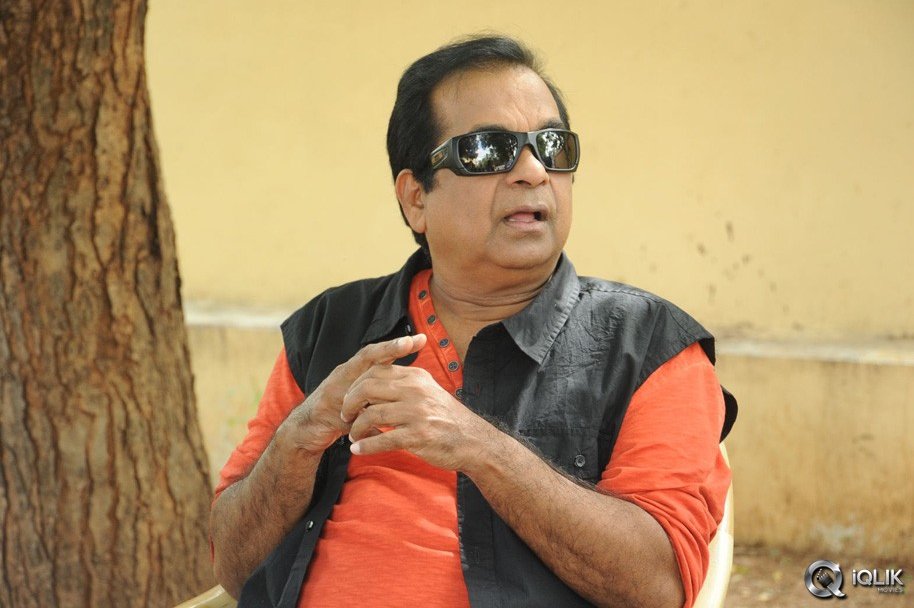 Brahmanandam-About-Alludu-Seenu-Movie